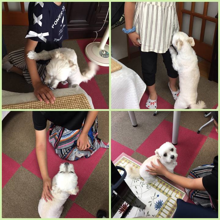 397d3475 6c81 45f7 98e9 b00eba8d4940 1560414376262