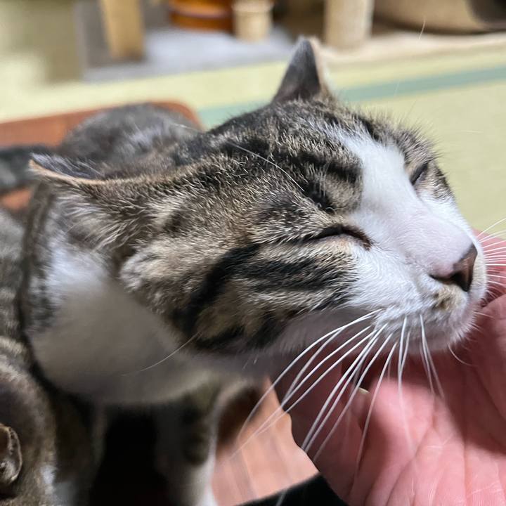 397d53a5 6609 4c96 aeaf dfb840247490 1772946090298