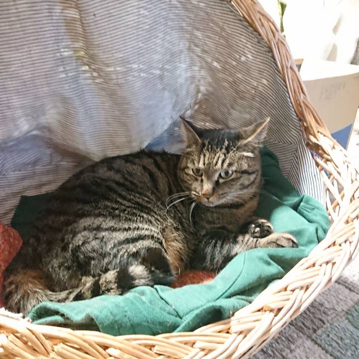 397d906c 2130 42f9 9fcf 5bccc9642802 1642975871635