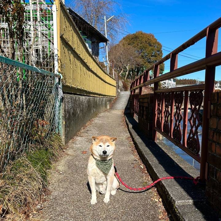 397da286 655f 4ebe 8c23 66cf1785b62d 1706604428375