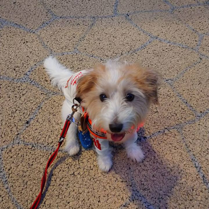 397dba0c 3d3e 4aa0 aaea 305b2e78992c 1757068509083