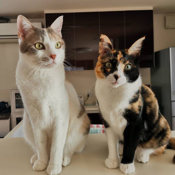 397e05ef 2726 4840 9507 497808d82ccc 1618819472148