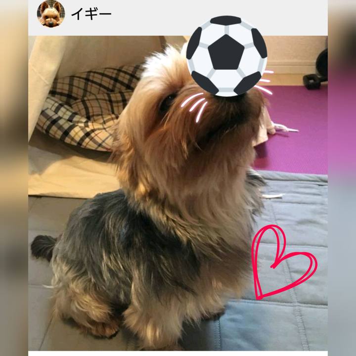 397e662a 266b 49cc b21d 75762ad0d138 1529636441771