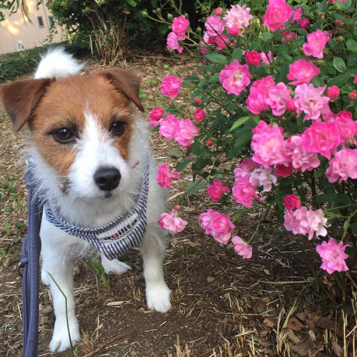 397e76b3 26a1 4176 9721 6849e193e0d5 1512123746106