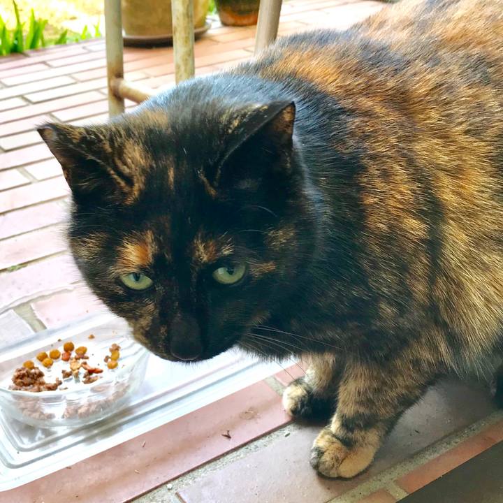 397eb30b 46a2 47df b6ee 36596108bf57 1515645812585