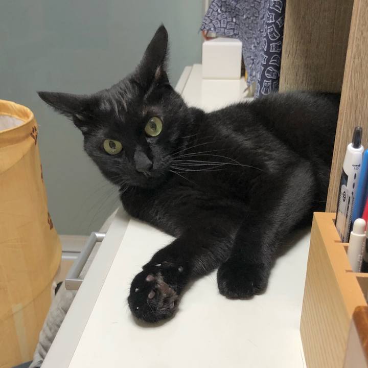 397ed276 7db9 4736 8fb3 5269f510d1df 1619697245355