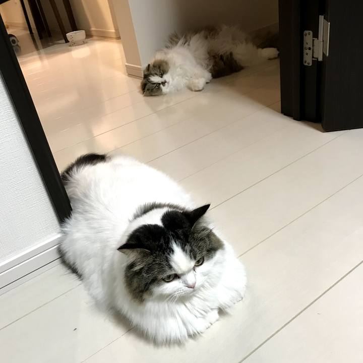 397f120e e804 48a9 82df 81895f7fc64b 1770289661131