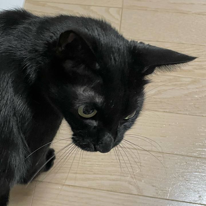 397f8059 2e36 4824 9d86 59bfbe703464 1696253258355