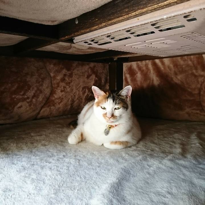 397f87d9 8baf 45b8 9b99 d5c2dec3383b 1508982852684