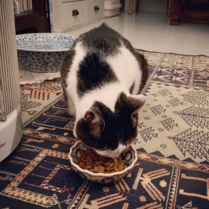 397fc355 0664 4030 b6d1 eedebdcbf8d9 1585233875809