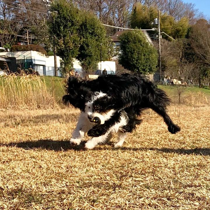 397fd6ca ec96 4c00 91b7 73256657626d 1552864301324