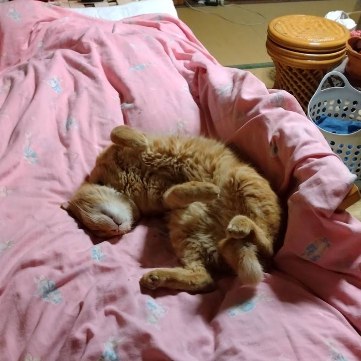 397ff95a ba40 431b a20d 2de990af3508 1727092358311