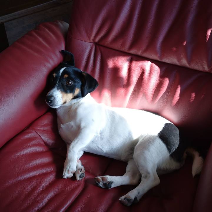 39803956 b816 4795 a0d9 dd432b2fbadb 1582770664623