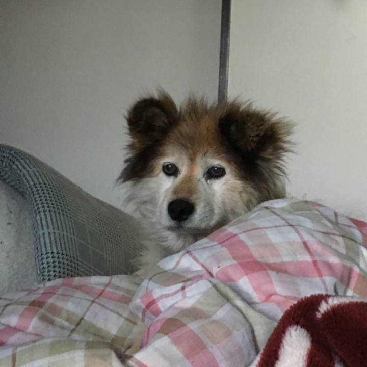 39803c34 0f7c 4c63 b979 07d5f3d1e4cf 1608434183203