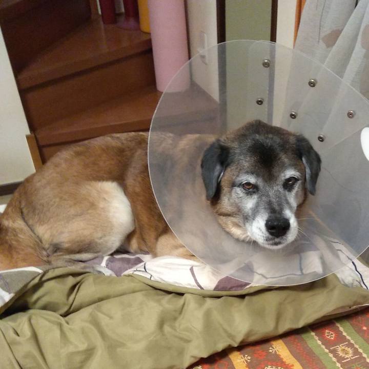 39804bb3 5e93 4878 b43a 8ff079116198 1550016107072