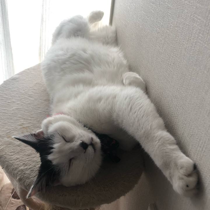 39805ba3 21b2 4d3a 96c3 dd074f1450c8 1558151905556