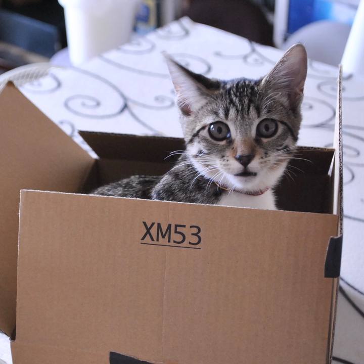 3980baef 539c 48ad 9437 2c7abf3d966e 1628811647531