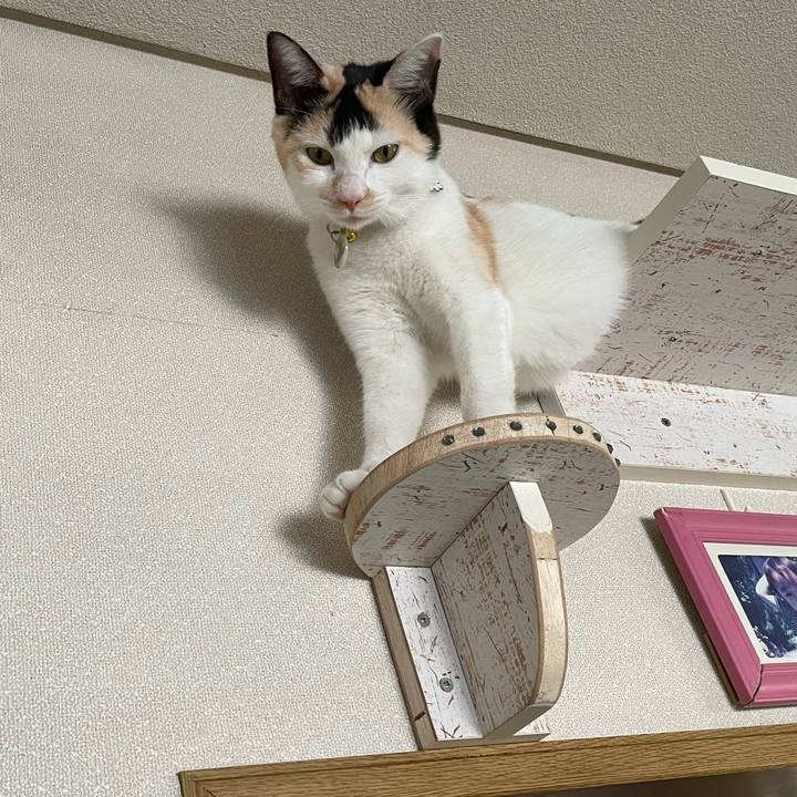 3980ea3c 6b07 4f3f b816 4f99f61df4b0 1675656207009