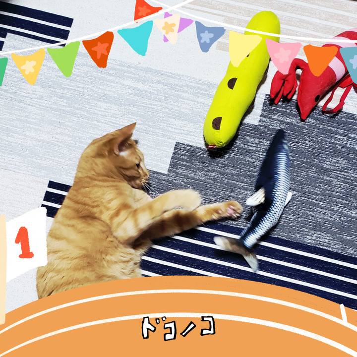 3980fd86 b701 4d0c 9281 07c220a4a073 1761351804736