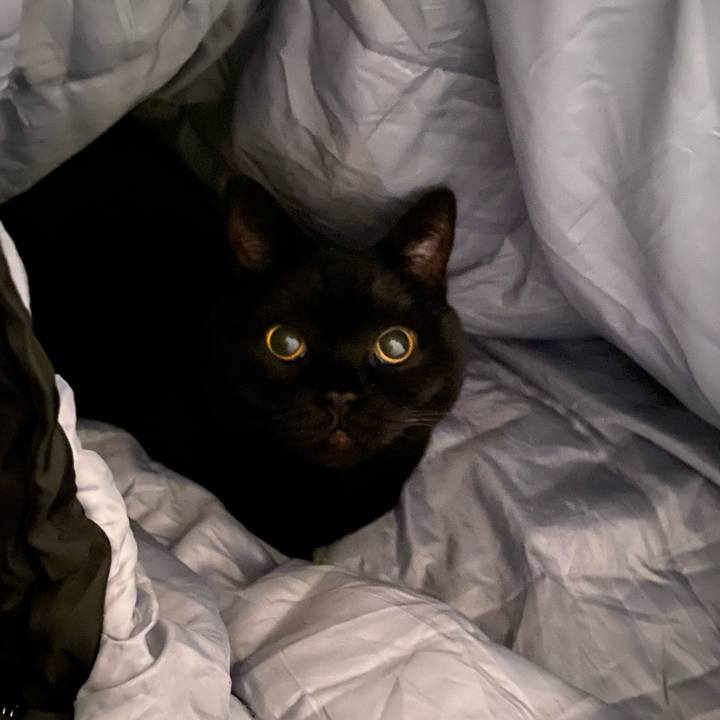 39812743 5462 47f6 8d17 1f5966ce47ca 1744460838961