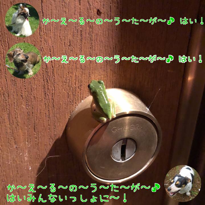 3981295a a57d 4b0a 87aa e59cb599a439 1565534615505