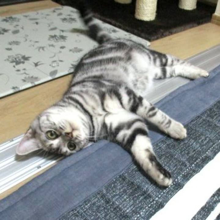 39812b42 a938 4821 9f80 d5d8dabaf704 1537614173018