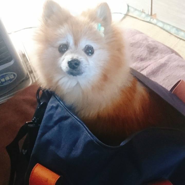 39812c4d 88e5 4d0b bbb7 fa2d5d4489a7 1557186135336