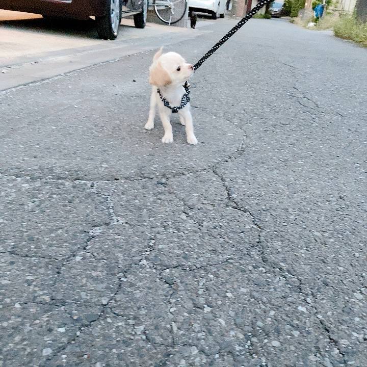 39812e10 7ddf 40e4 b1e4 a2792af95572 1591857537847