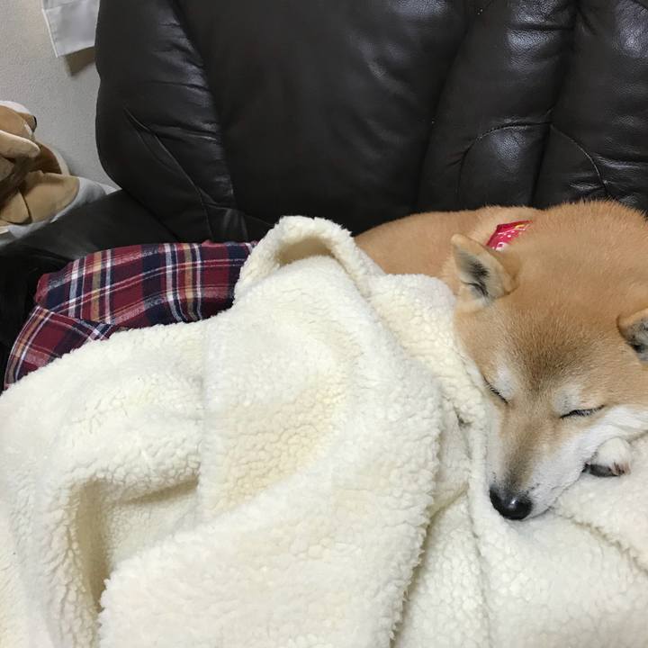 39813146 579a 4d89 b9c7 30e2e2158cc8 1517644328813