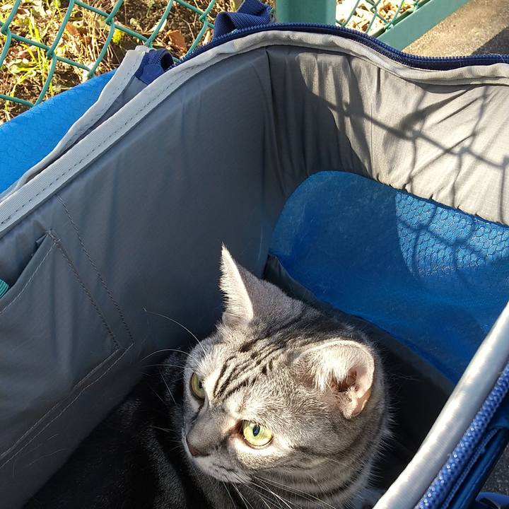 398132ee 02eb 4560 8e5b 0cbca6555c86 1670721248461