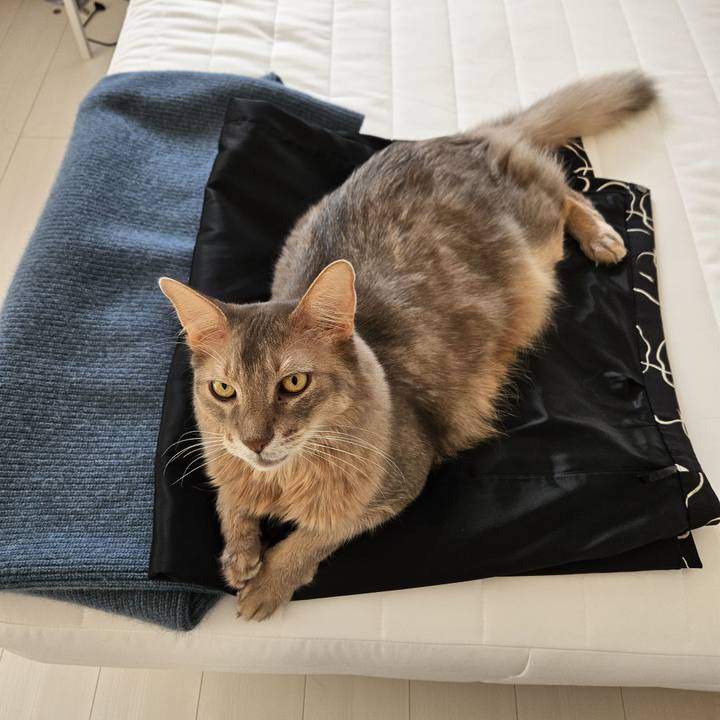 3981bf83 5f91 49d1 8b04 d8ab9e0e27e1 1701235793171