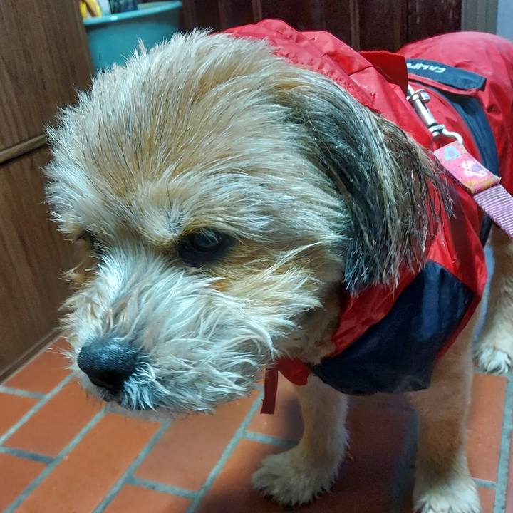 3981c0aa 9c5e 40b9 9470 088531491e58 1617487173706