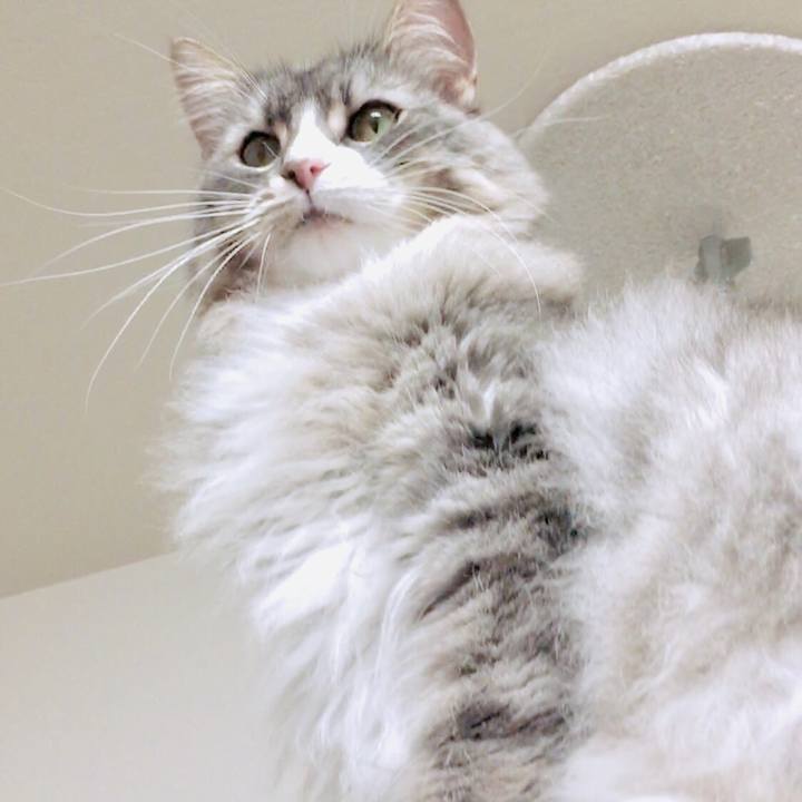 3981cea9 e2c0 4e82 ae01 5a3a5fd47186 1573406945690