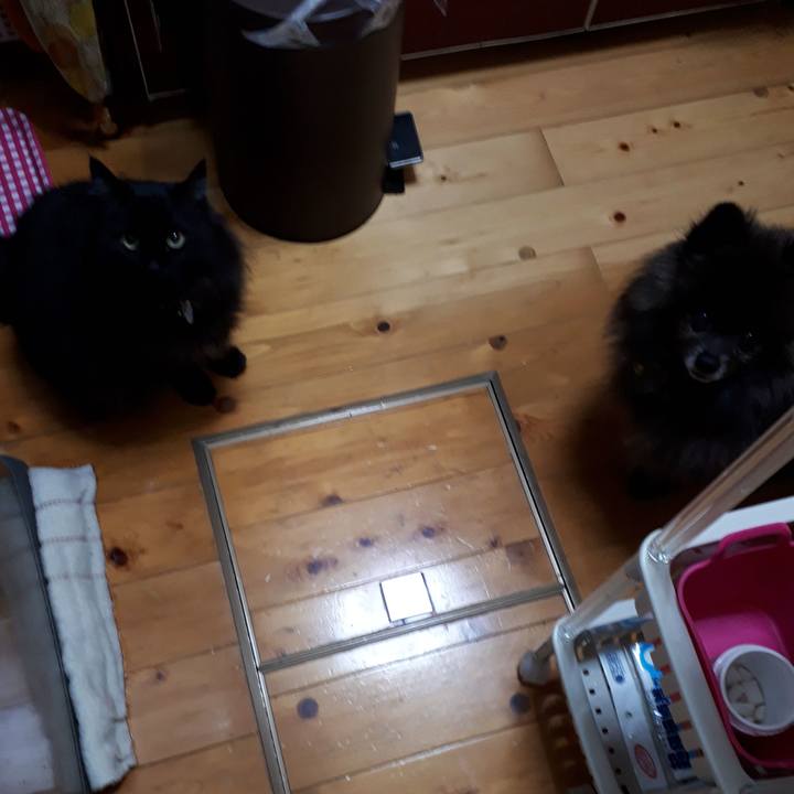 3981e2d3 08bd 463e 98e6 14a28b28ae55 1522012567035