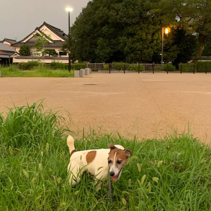 3981e684 5fb5 456a bce3 229e81469fb7 1564741912009