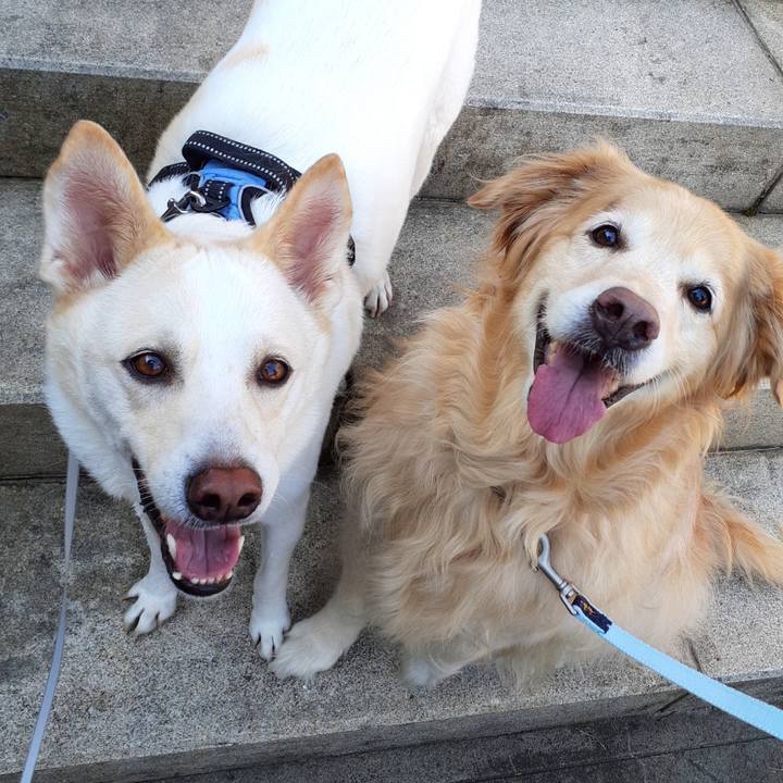 398203fd 2a86 4351 98d0 81caffc95ccc 1635574053185