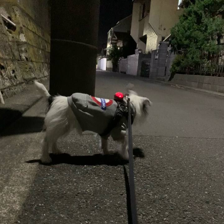 398241f2 07de 4c42 828f 407a86f2b98d 1700398352789