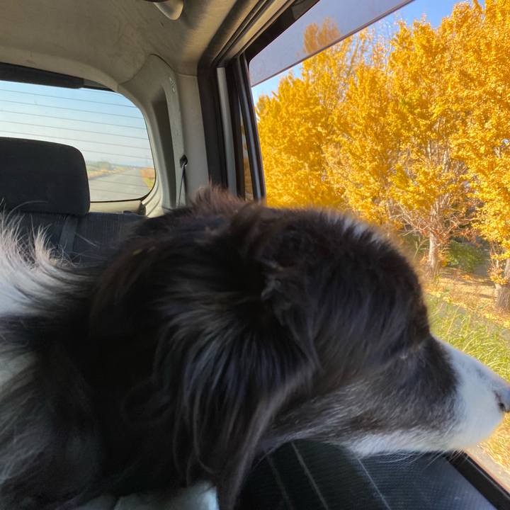 398243a3 7016 4667 9704 ecfe37d7a2c5 1701662570208