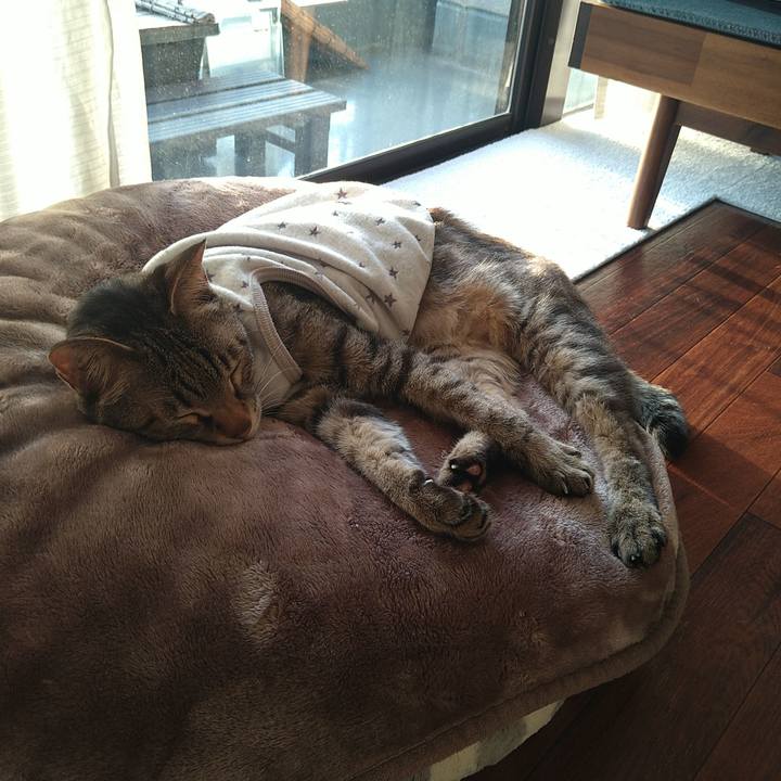 39828949 335c 4a24 8ea2 99cc285b2f3e 1744620037092