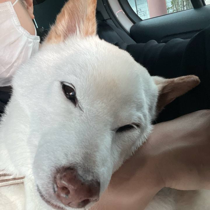 39829341 2d79 41db 874c 66025c0a4160 1652525636465