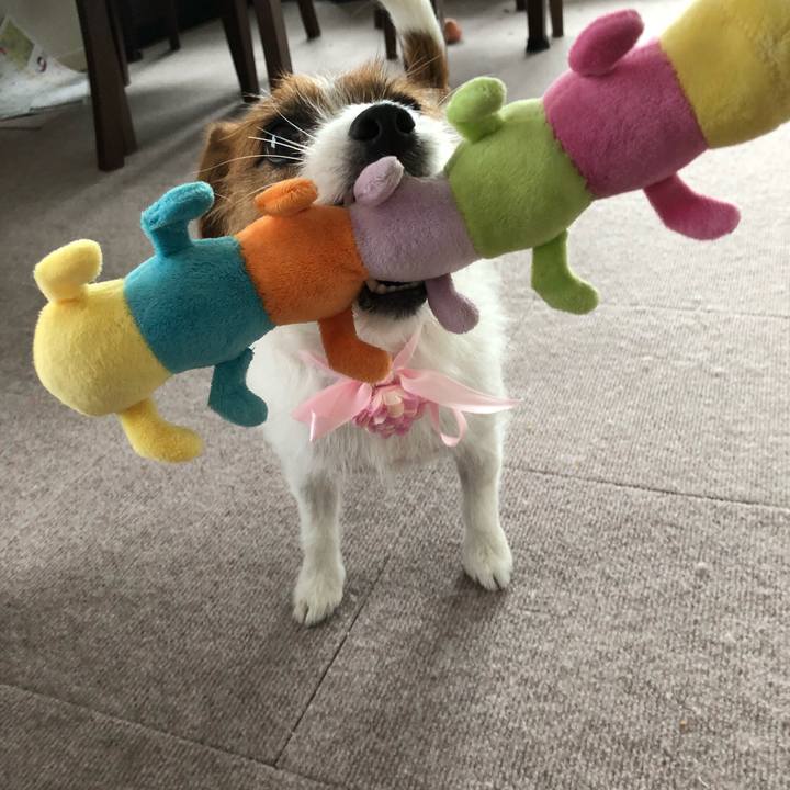 398298a7 3085 424d 9b08 9d6e64b3139b 1535865134620