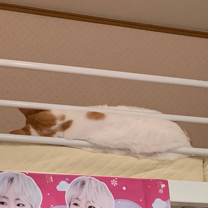 39829b2e 53f9 4869 96ef ac91a610935f 1596620913497