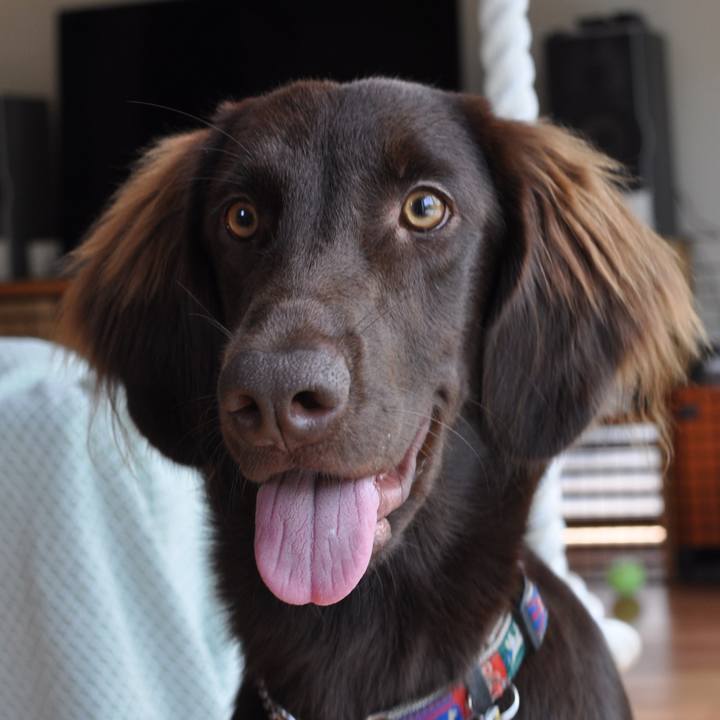 3982a1e5 708b 4211 b0ee 2517019681cc 1567380042708