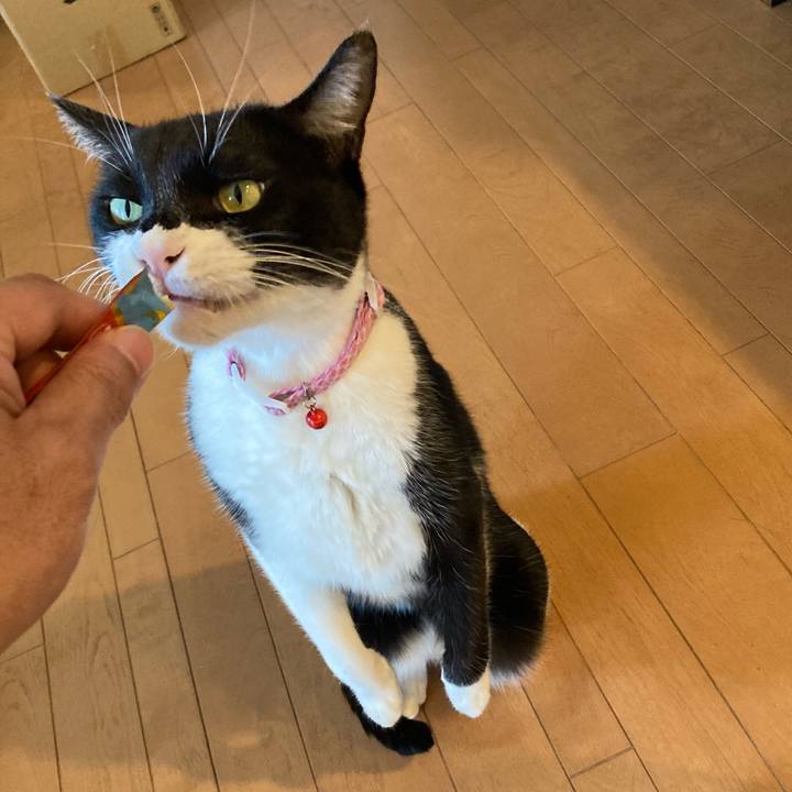 3982babb 2364 4798 88f9 52764d227122 1667391717081