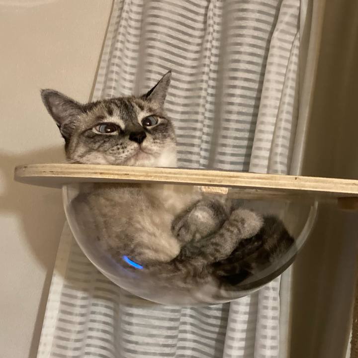 3982c0c4 1a48 4a37 97a9 2bc5f3428c51 1657112460899