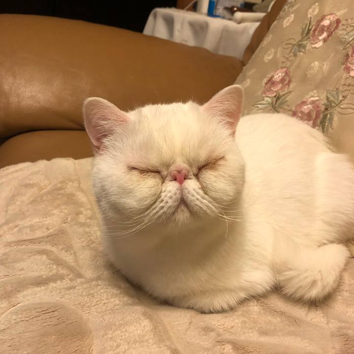 3982ee9a 4a1b 4f54 9186 df5a463e9af8 1616249164238