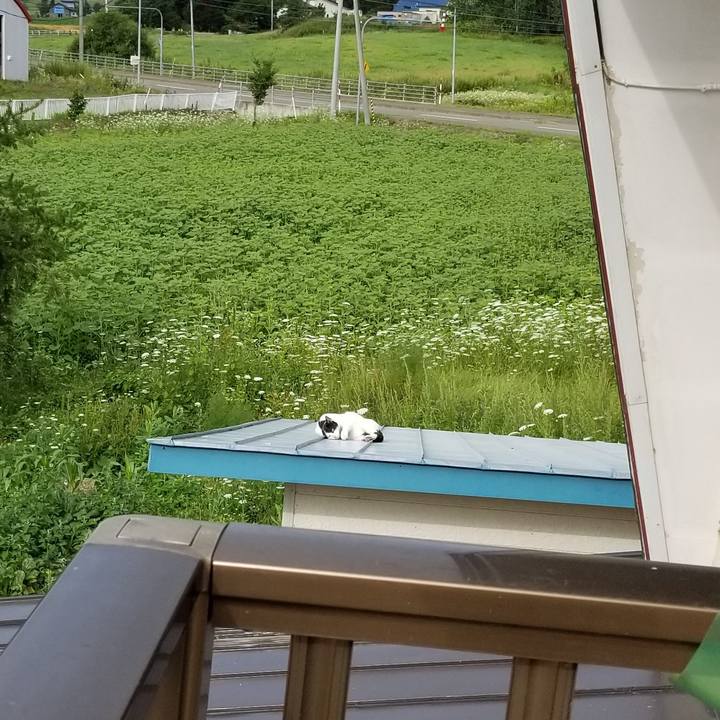 398323e2 4c2c 4ab3 a3cb 16dcef86c5dd 1564921339199