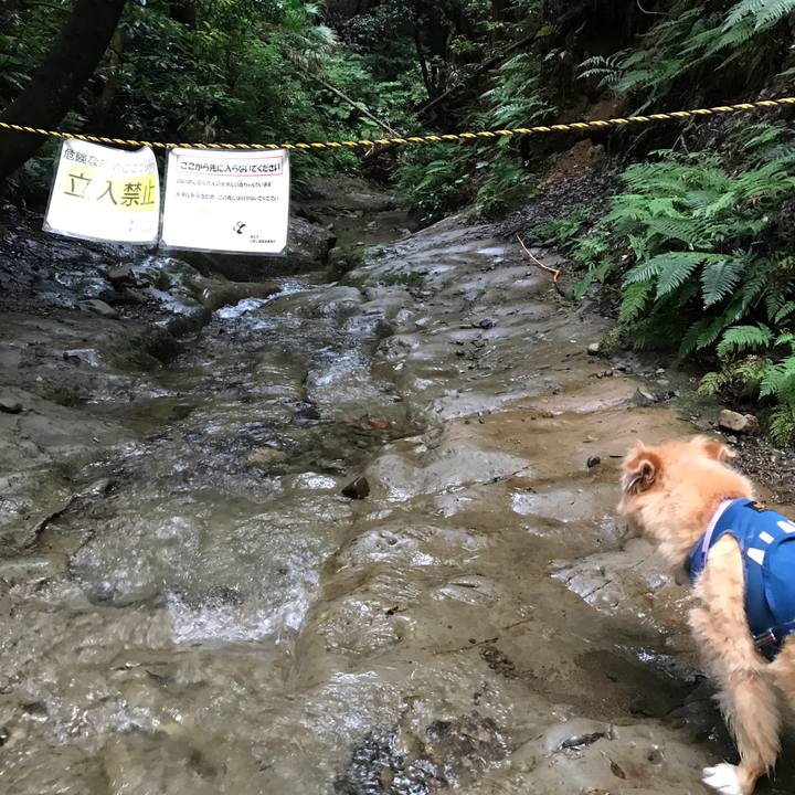 39836273 3c30 4c51 aab3 5a790cff7d59 1630923678962