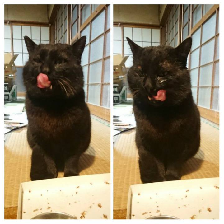 39837993 0598 4075 b47c d7dc17044f9b 1617619250765