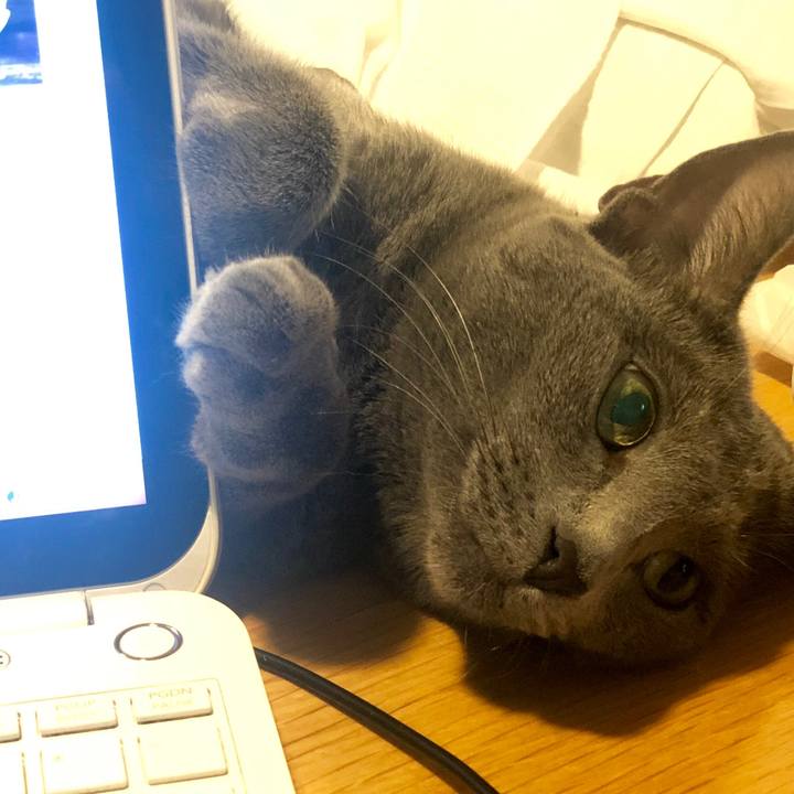 398386da 0202 4942 a62a 3e23a65836f1 1564448782896